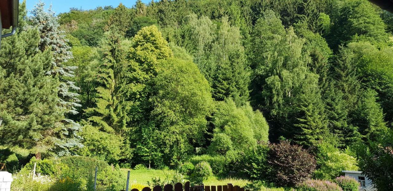 Art Apartment - Harz Stolberg i. Harz 외부 사진